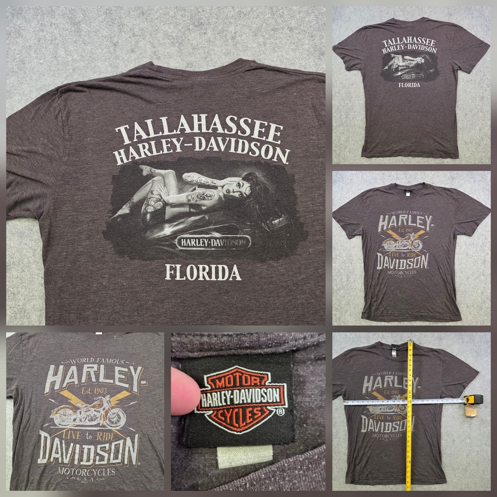 Harley-Davidson T Shirt Mens Large Gray Tallahassee Pin-Up Biker Graphic Florida